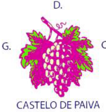 D.G.C. Castelo de Paiva
